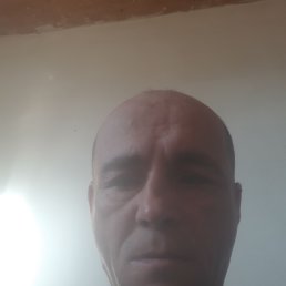 , 39, 