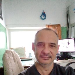 , 51, 