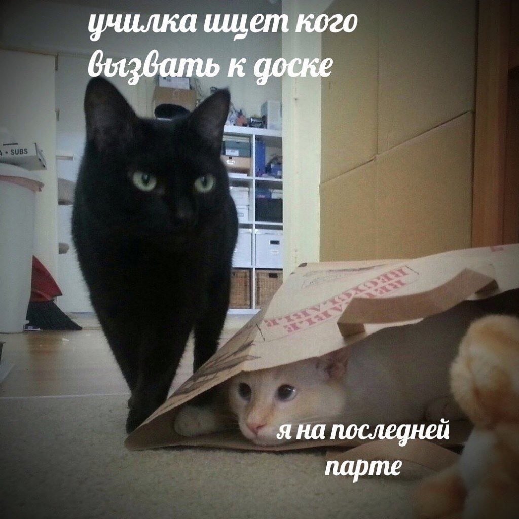   - 28  2023  18:33