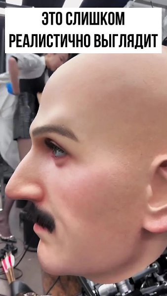 ������� ��� ���������