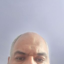, 41, 