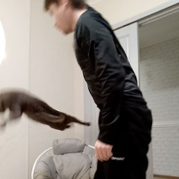 ����, ������, 55 ���