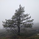 ���� �������, ������������, 67 ��� - ��������� 2 ������� 2025 � ������ ������ ��������