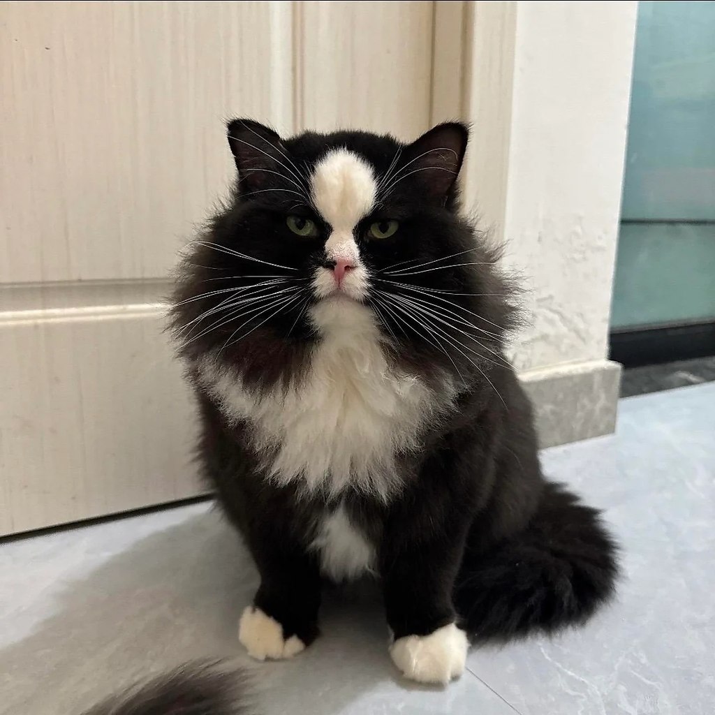    (2022)    (2025) - 3