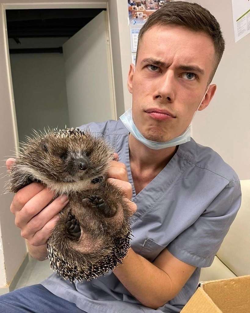 eepap pa  eeppa eeo ae eo ope co co aea   ... - 3