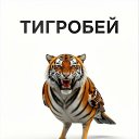 ���� �����, ������� - ��������� 3 ��� 2026 � ������ ���� ����������