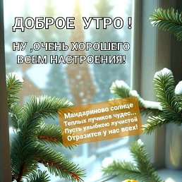 ���� ������, �������-���������, 49 ��� - ��������� 27 ������� 2023