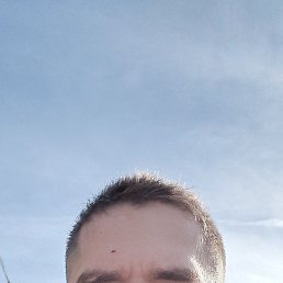 , 33, 