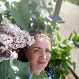 , 53, 