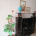 ���� Netakaya, �������� - ��������� 16 ������ 2026 � ������ ������ ��������