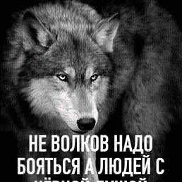 ���� �������, ���, 50 ��� - ��������� 4 ��� 2024