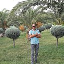 ���� �����, �����������, 43 ���� - ��������� 6 ����� 2026 � ������ ���� ����������