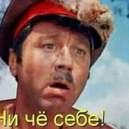 , 55, 