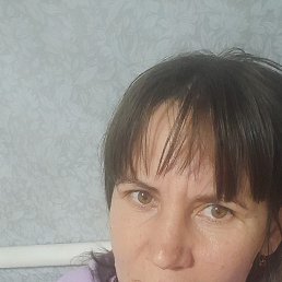 , 40, 