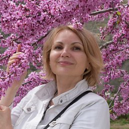 , 53, 