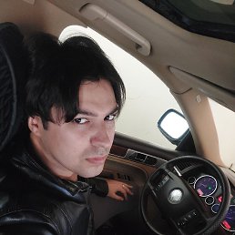 , 29, 