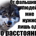 ���� �����, ������, 40 ��� - ��������� 16 ����� 2024 � ������ ���� ����������