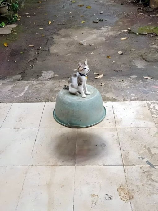      ,           