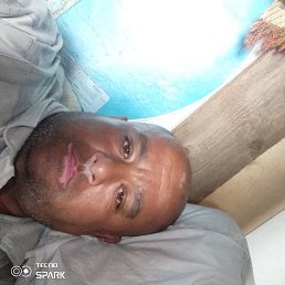  , 37, 