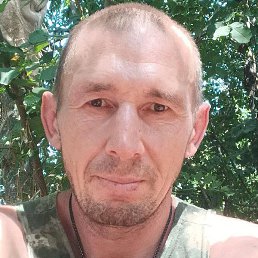 ������, �������, 42 ����