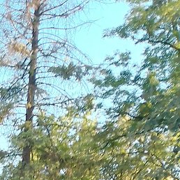 ���������, ����, 57 ���