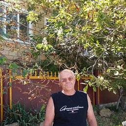 ���� �������, ������, 54 ���� - ��������� 11 ������ 2024