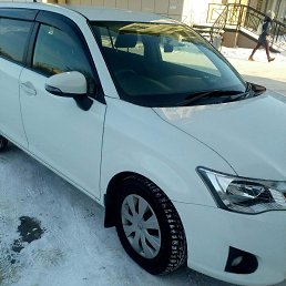 ���� ������, �������, 53 ���� - ��������� 23 ������� 2026