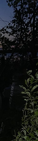 ����, ������������, 43 ����