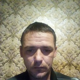 �������, 41 ���, ����