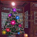���� ���������, ������ - ��������� 30 ������ 2024 � ������ ������ ��������