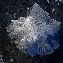 ���� ����, ��������� - ��������� 24 ������ 2024 � ������ ���� ����������