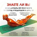 ���� ����, ����-������, 49 ��� - ��������� 30 ������� 2023 � ������ ���� ����������