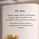 ���� ������, ����������� - ��������� 13 ������� 2026 � ������ ������ ��������