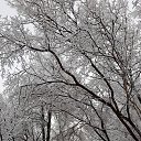 ���� ��������, ������-��� - ��������� 29 ������� 2024 � ������ ���� ����������