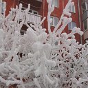 ���� ������, ���������� - ��������� 3 ������ 2024 � ������ ������ ��������