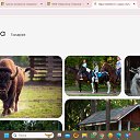 ���� ���������, �����-���������, 56 ��� - ��������� 4 ������ 2024 � ������ ���� ����������