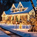 ���� �����, ������, 37 ��� - ��������� 1 ������� 2024 � ������ ���� ����������