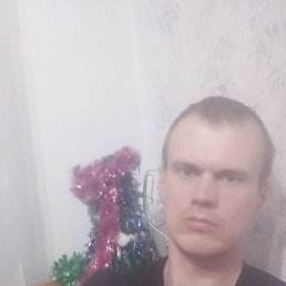 ���������, 33 ����, �������