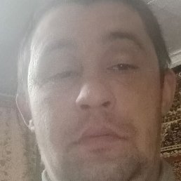 ������, �������, 33 ����