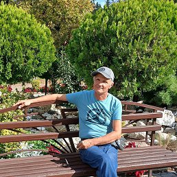 ����, ���������, 65 ���