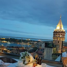 ���� �, ������-��-����, 40 ��� - ��������� 28 ������� 2023