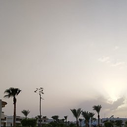 ��������, ����, 46 ���