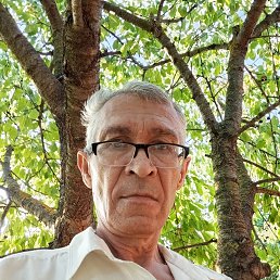 , 52, 