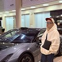 ���� ����, �����-���������, 33 ���� - ��������� 9 ����� 2026 � ������ ���� ����������