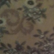 ������, 50 ���, ���������