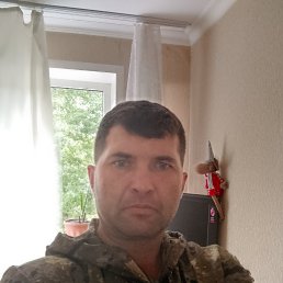 ���� �������, ����������, 44 ���� - ��������� 31 ������� 2025