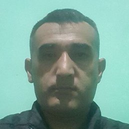 ���, �������, 43 ����