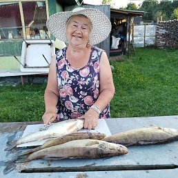 , 67, -