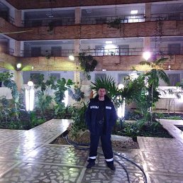 ���� �����, �������, 42 ���� - ��������� 29 ������ 2024