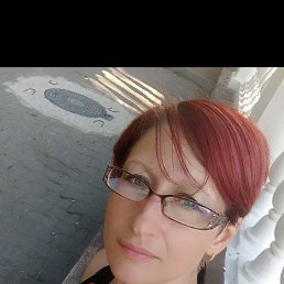 , 44, 